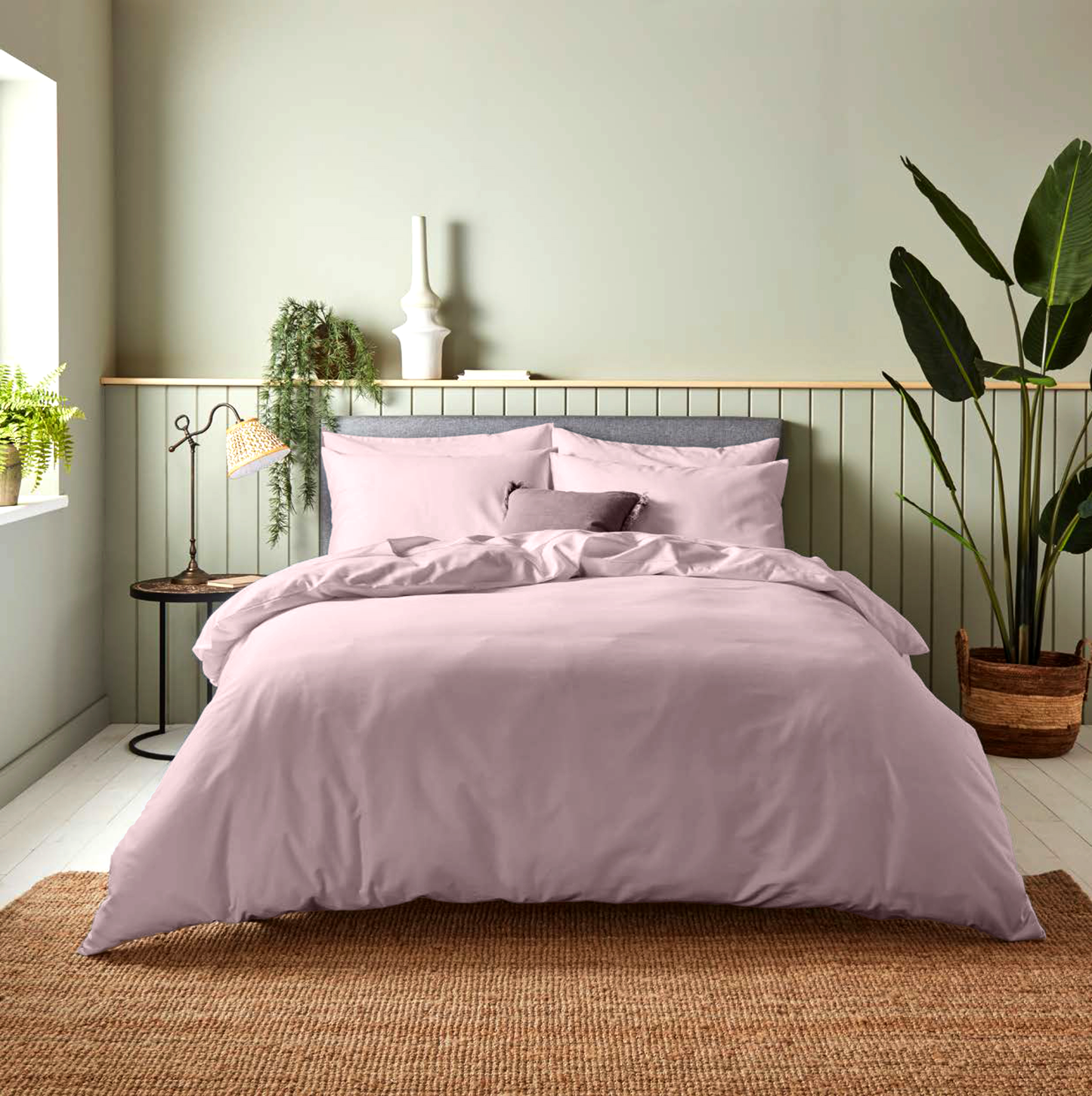 Cameo Rose Cotton Bedsheet Set 300 TC